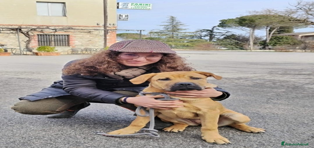 Immagine della galleria {{count}}