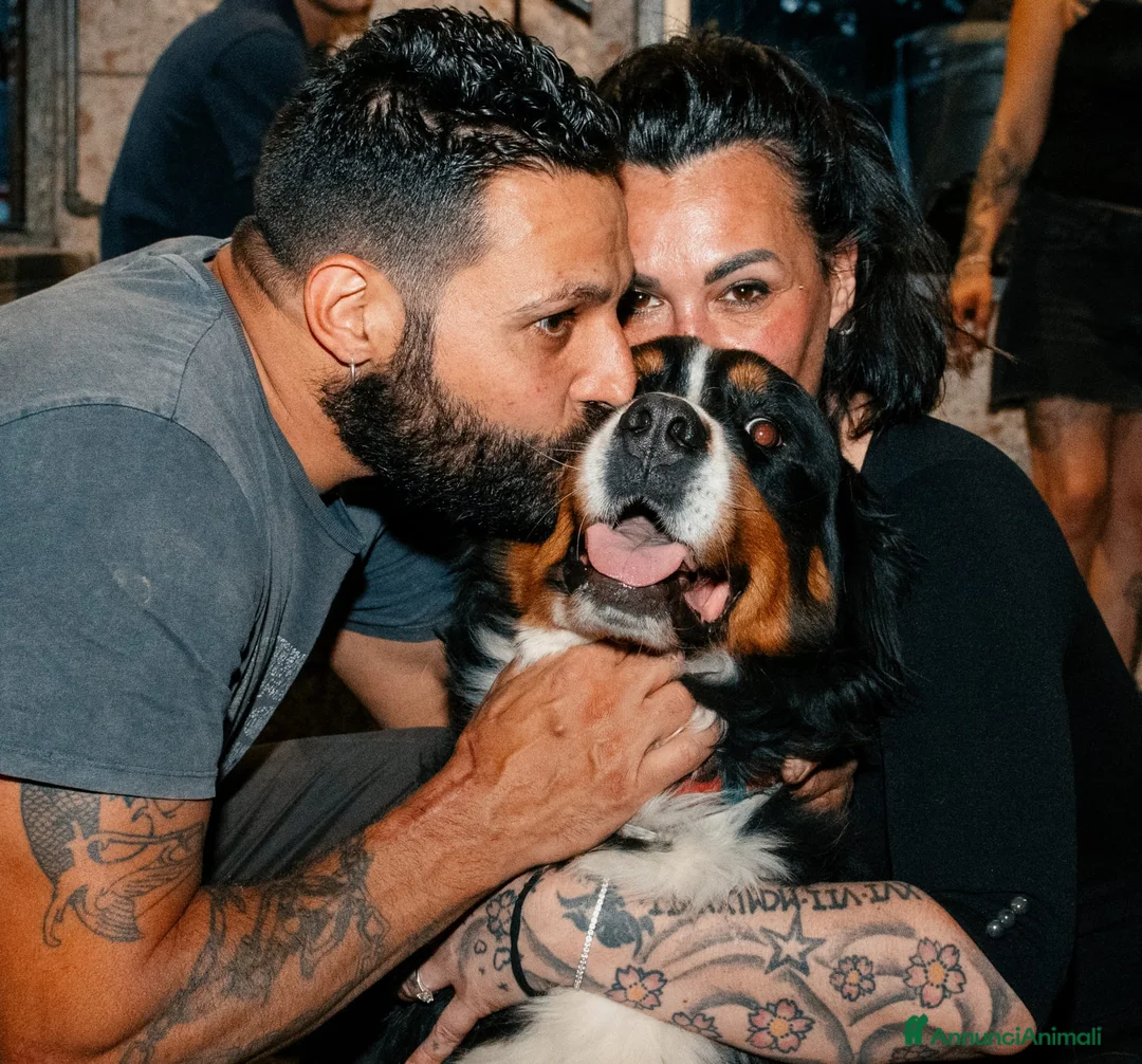 Immagine della galleria {{count}}