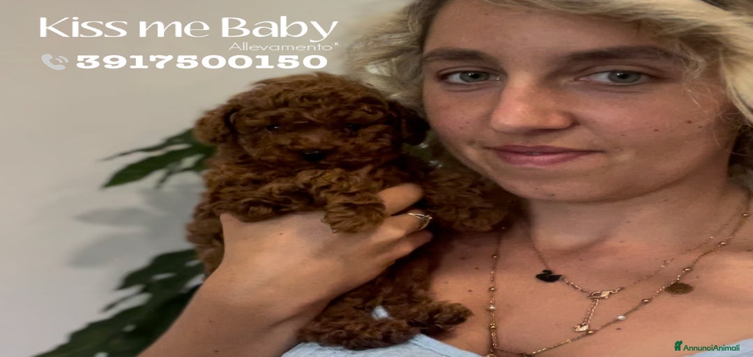 Immagine della galleria {{count}}