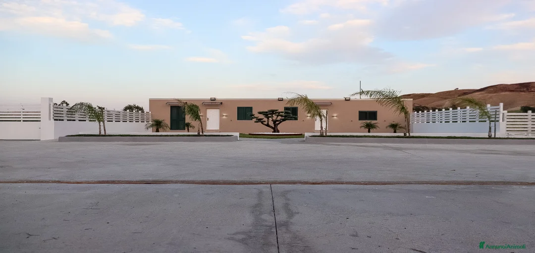 Immagine della galleria {{count}}