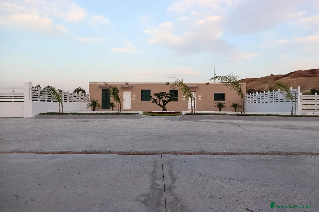 Immagine della galleria {{count}}