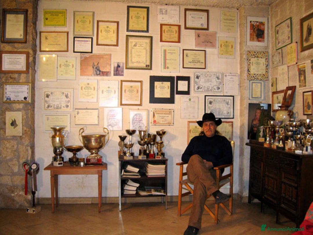 Immagine della galleria {{count}}