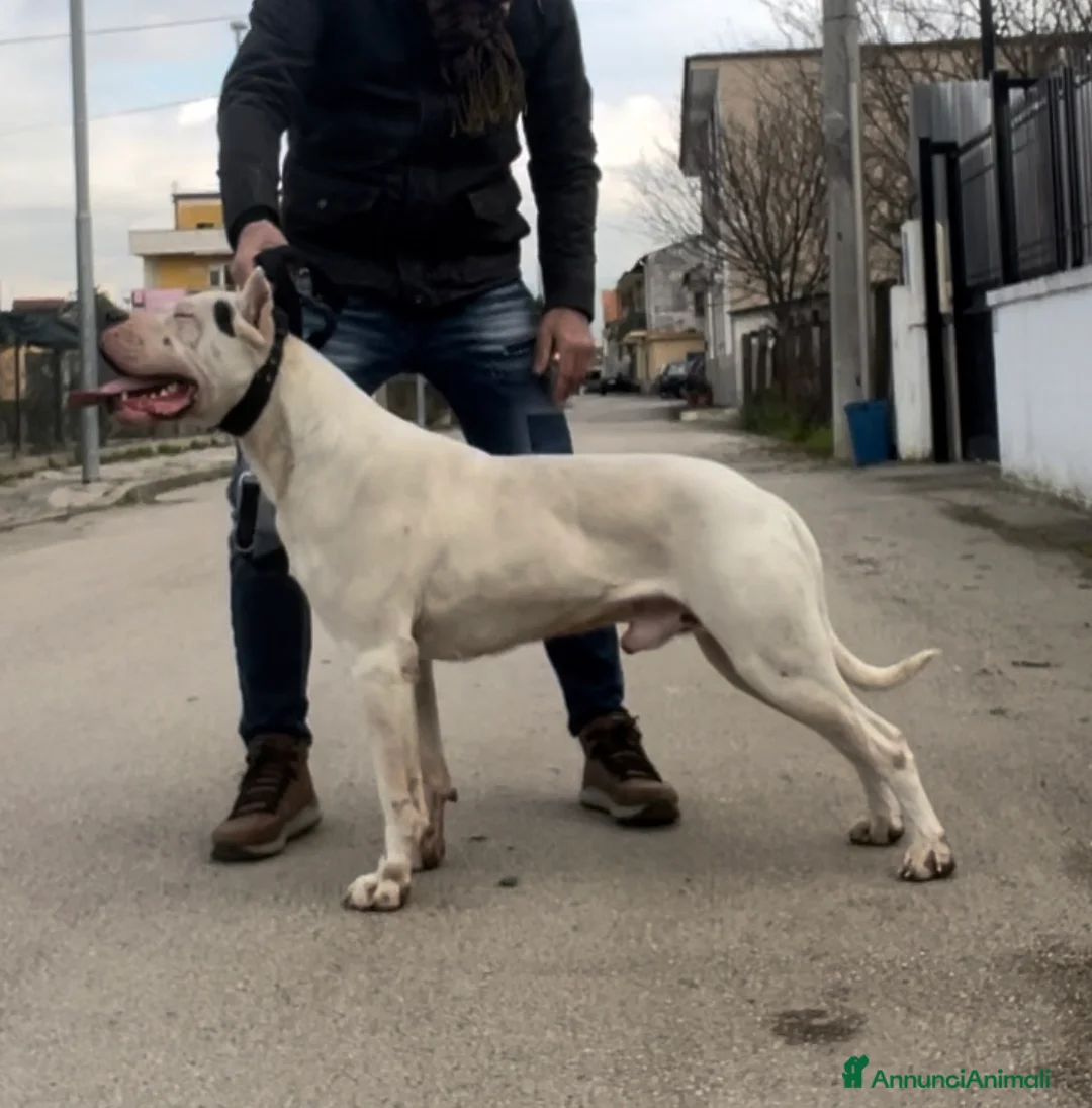 Immagine della galleria {{count}}