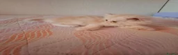 Persiano gatti in vendita: Cuccioli di gatto persiano  a Città metropolitana di Catania - Annuncio 7