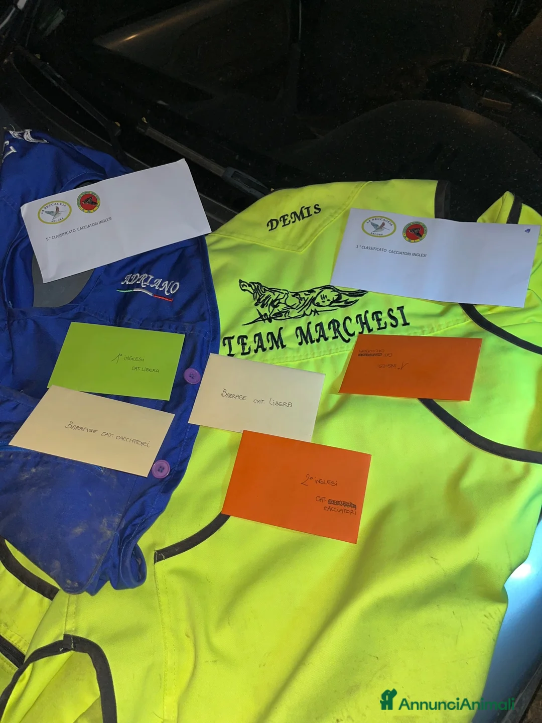 Immagine della galleria {{count}}