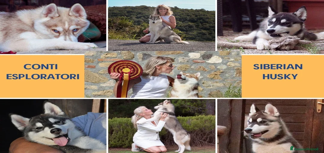 Immagine della galleria {{count}}