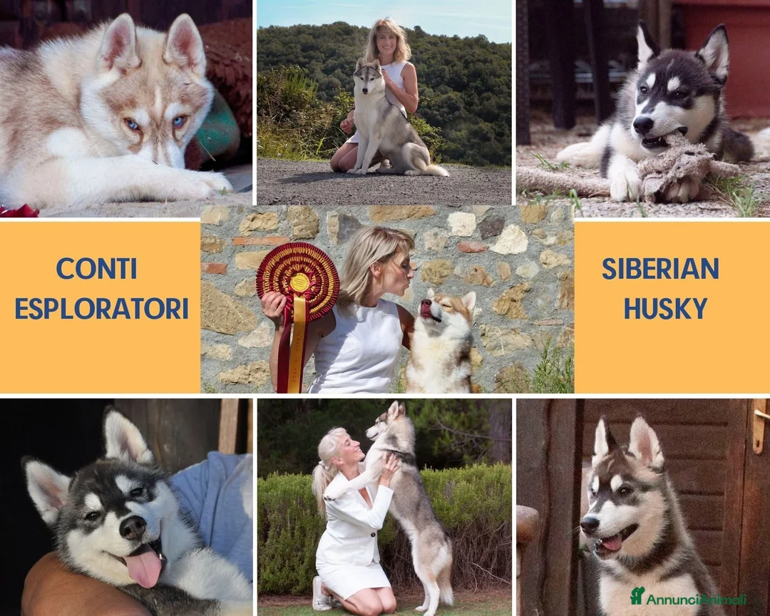 Immagine della galleria {{count}}