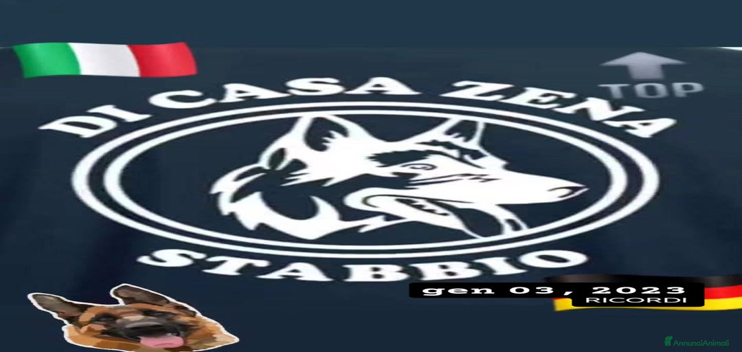 Immagine della galleria {{count}}