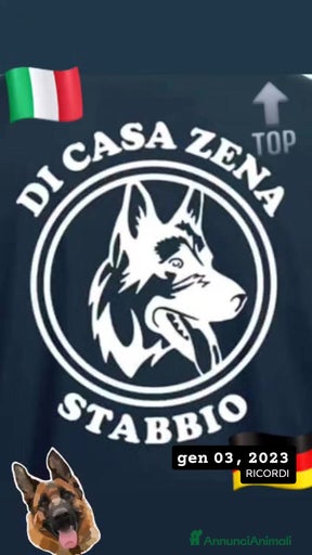 Immagine della galleria {{count}}