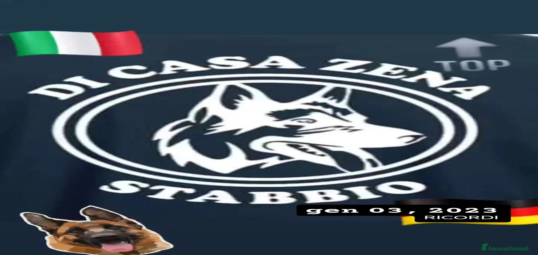 Immagine della galleria {{count}}