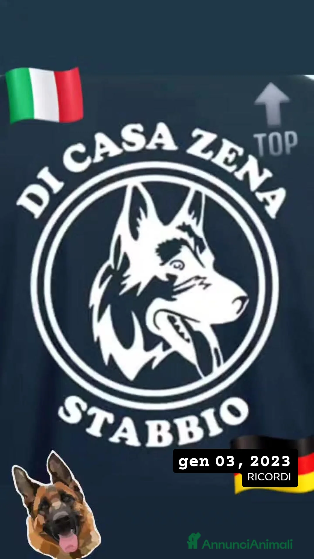 Immagine della galleria {{count}}