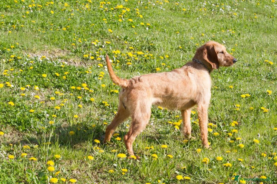 Immagine della galleria {{count}}