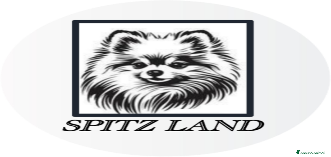 Immagine della galleria {{count}}