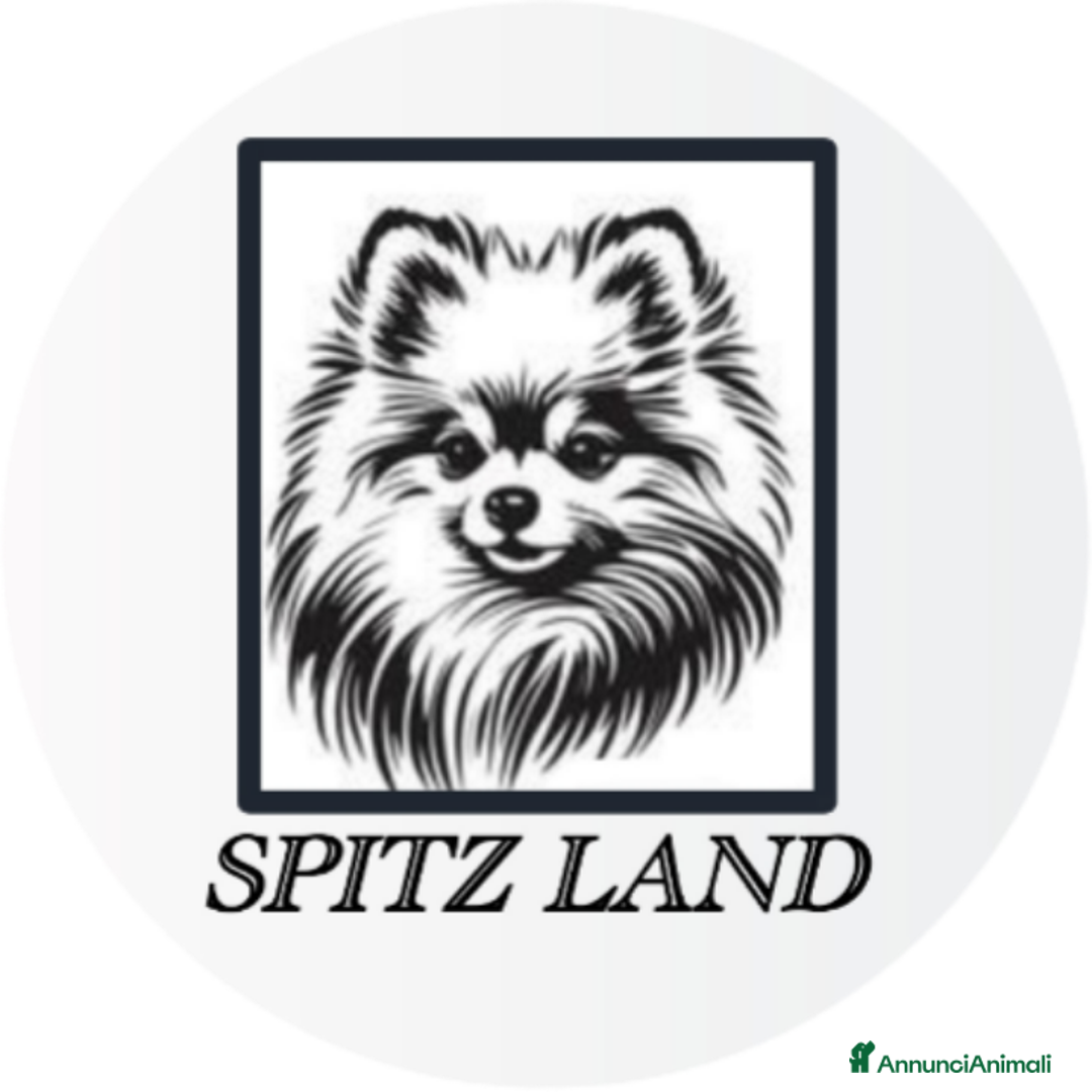 Immagine della galleria {{count}}