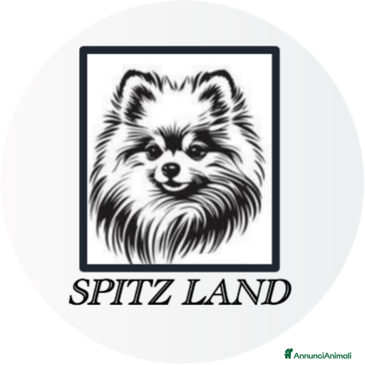 Immagine della galleria {{count}}