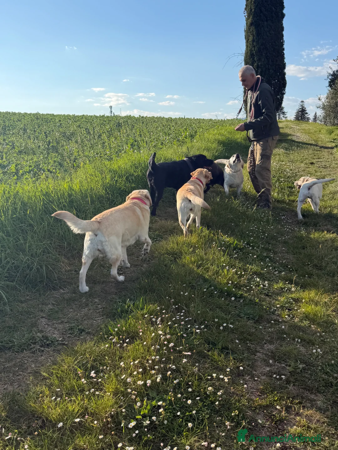 Immagine della galleria {{count}}