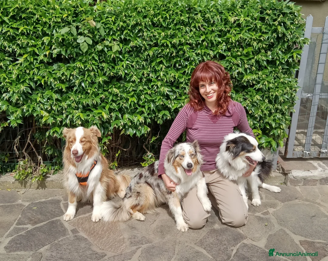 Immagine della galleria {{count}}