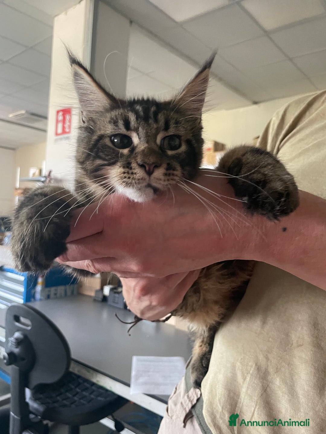 Immagine della galleria {{count}}