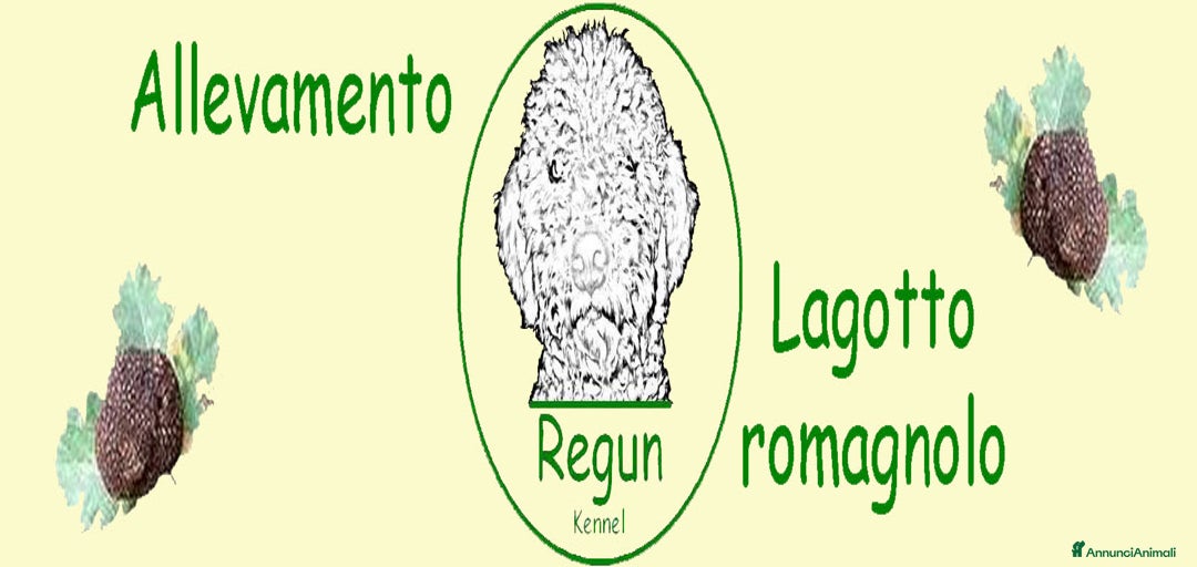 Immagine della galleria {{count}}