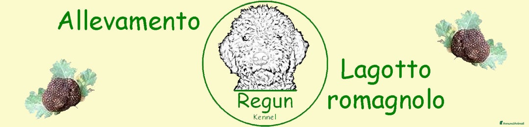 Immagine della galleria {{count}}