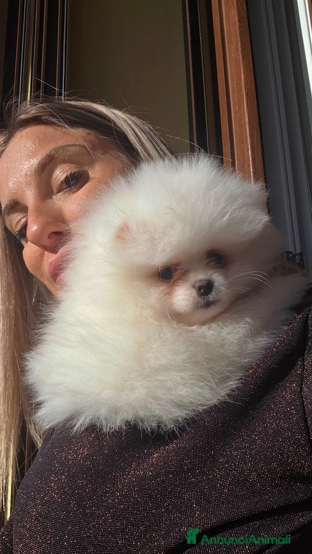 Immagine della galleria {{count}}