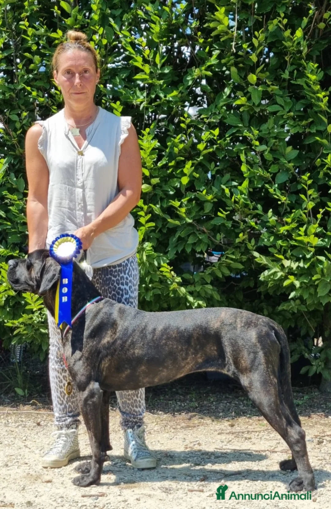 Immagine della galleria {{count}}