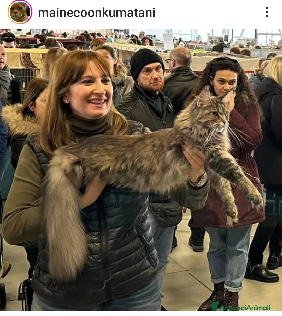 Immagine della galleria {{count}}