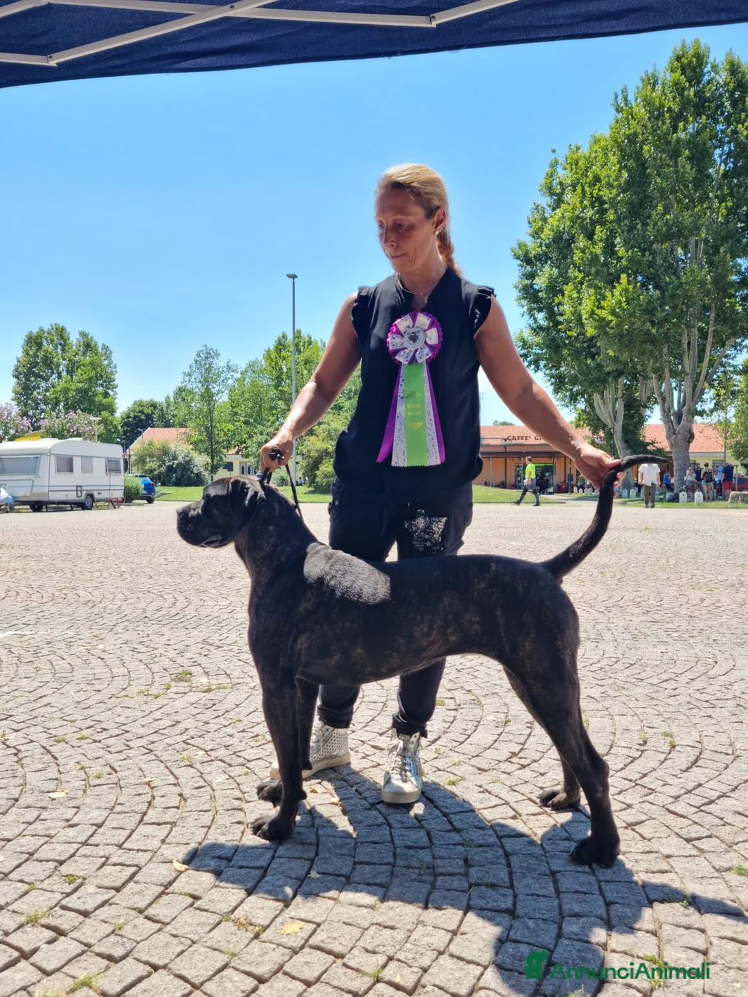 Immagine della galleria {{count}}