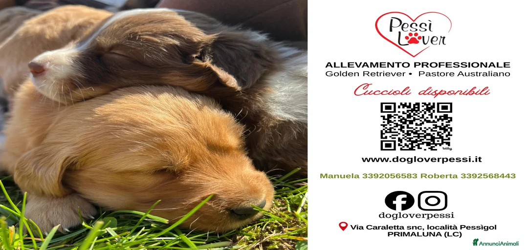 Immagine della galleria {{count}}