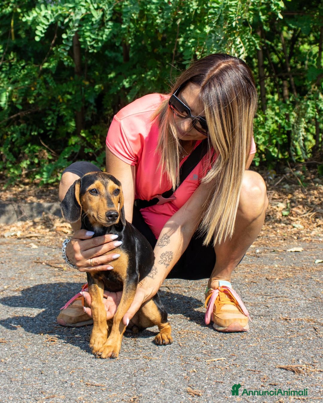 Meticcio cani JODY  - Annuncio 36