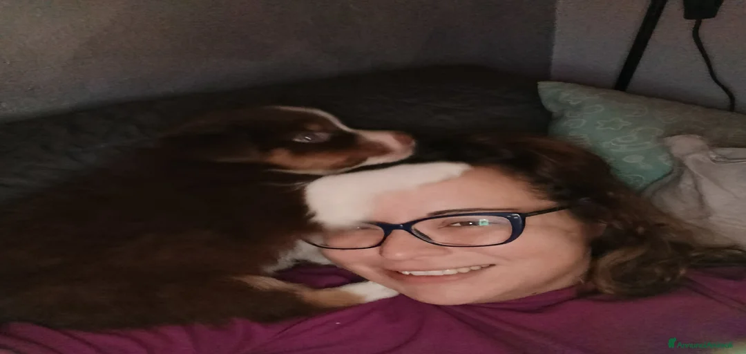 Immagine della galleria {{count}}