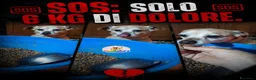 Meticcio cani in regalo: ADOZ.DEL💔:6anni di dolore,abband.legato albero!!! - Annuncio 1