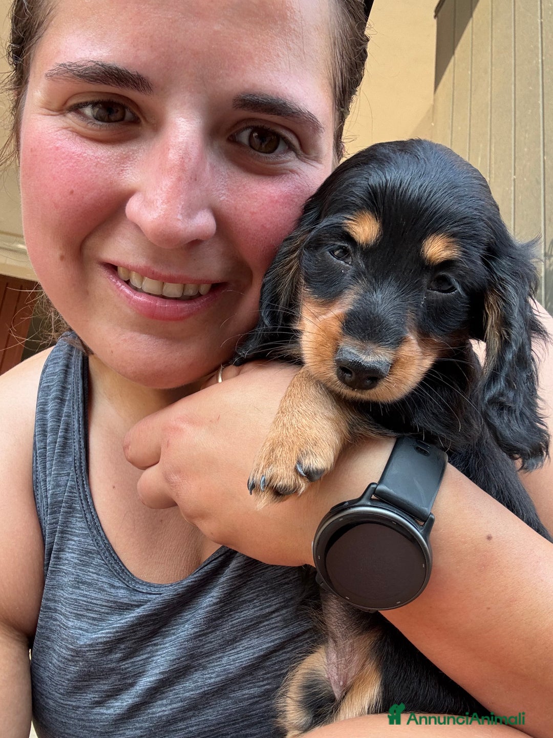 Bassotto cani in vendita: cuccioli di bassotto tedesco pelo lungo a Provincia di Modena - Immagine 6