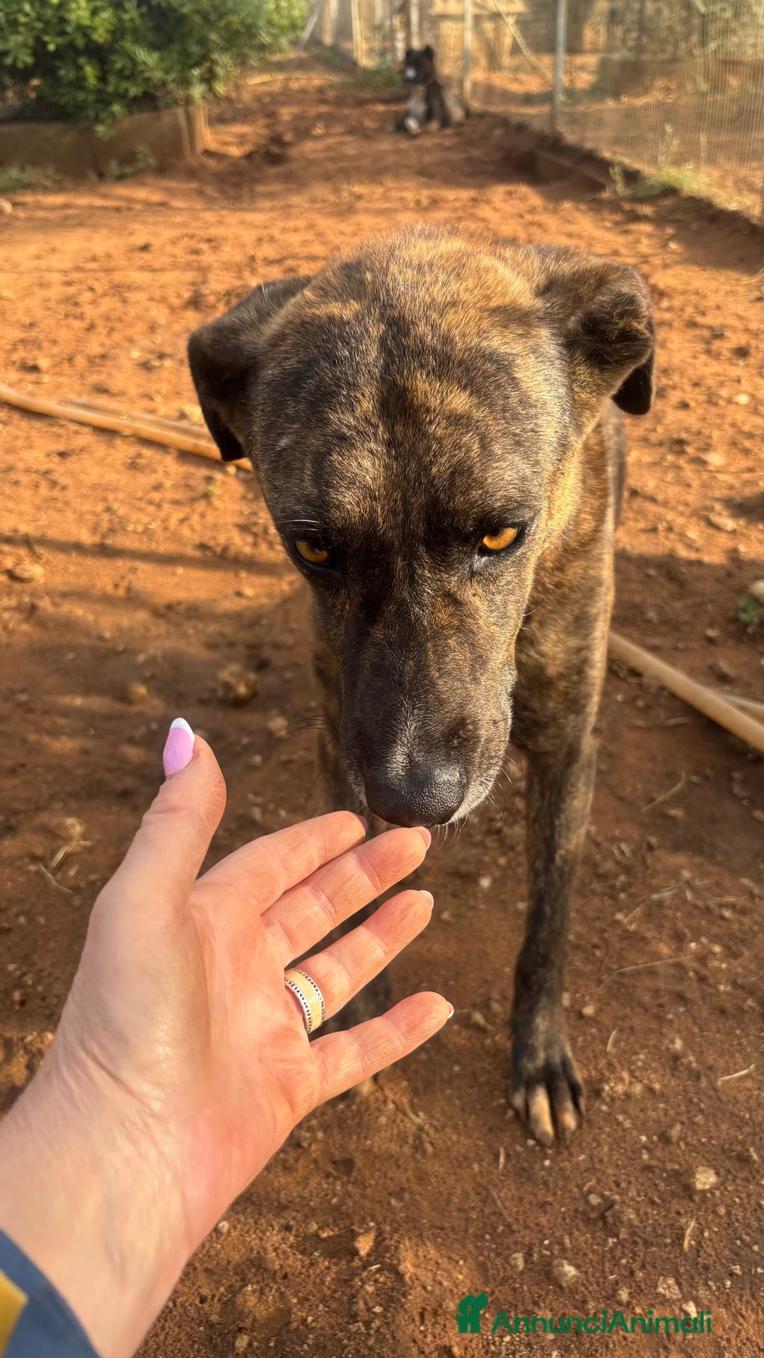 Immagine della galleria {{count}}