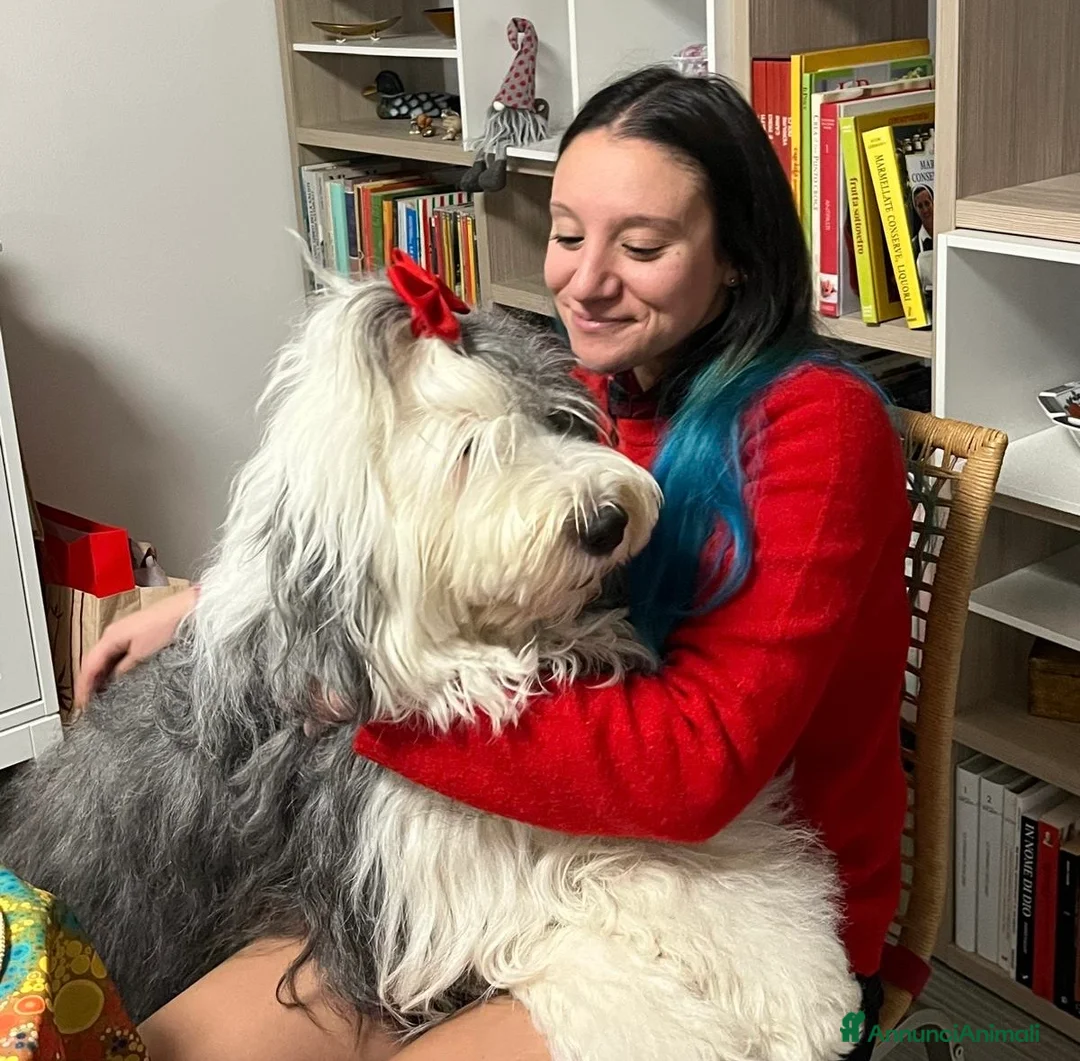 Immagine della galleria {{count}}