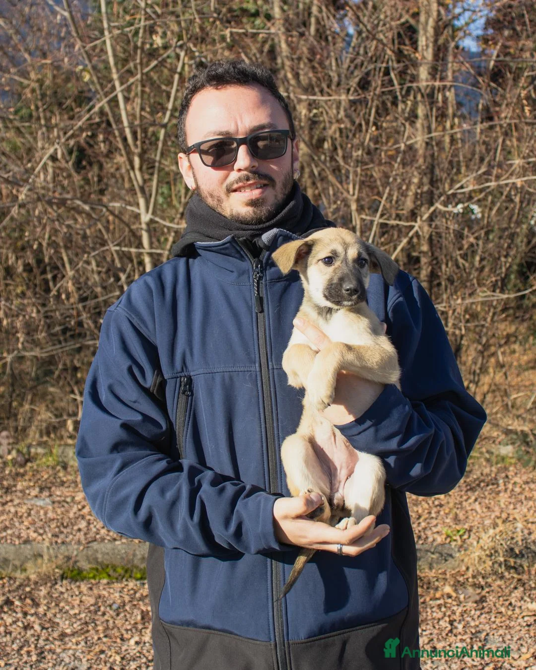 Altre razze cani in regalo:  LILLY - Annuncio 4