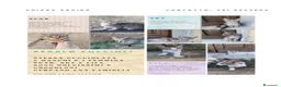 Meticcio gatti in regalo: Regalo cuccioli, 2 maschi e 1 femmina  - Annuncio 1