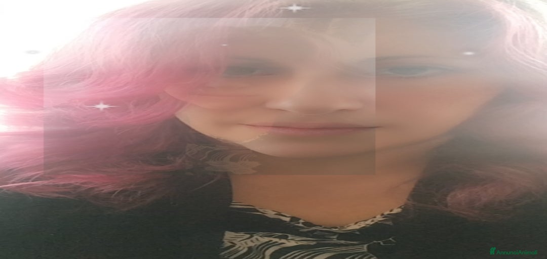 Immagine della galleria {{count}}