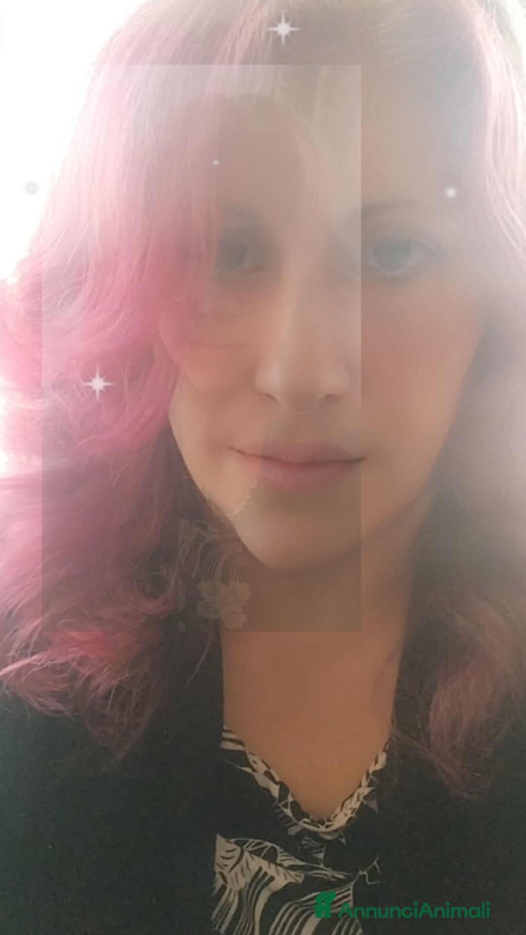 Immagine della galleria {{count}}