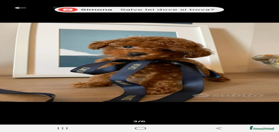 Immagine della galleria {{count}}