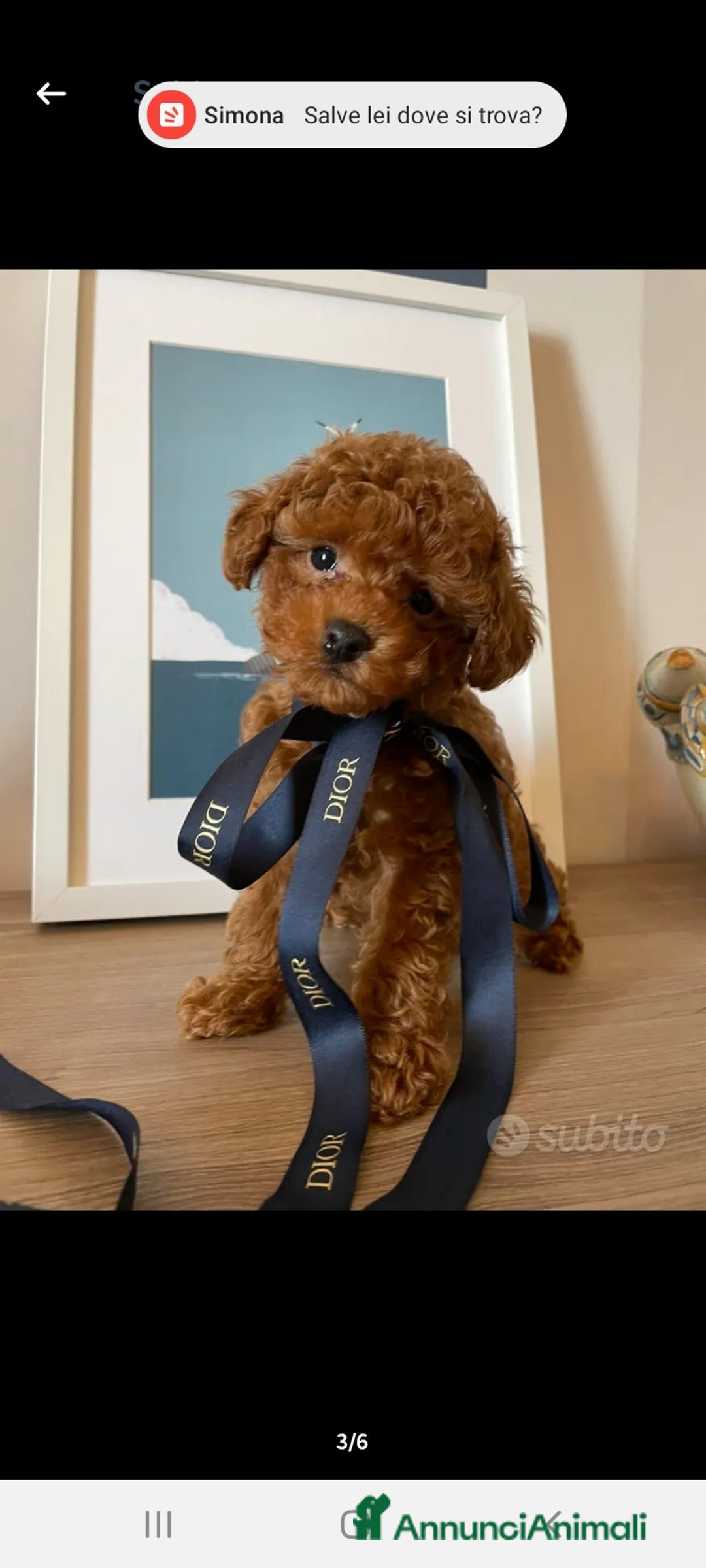 Immagine della galleria {{count}}