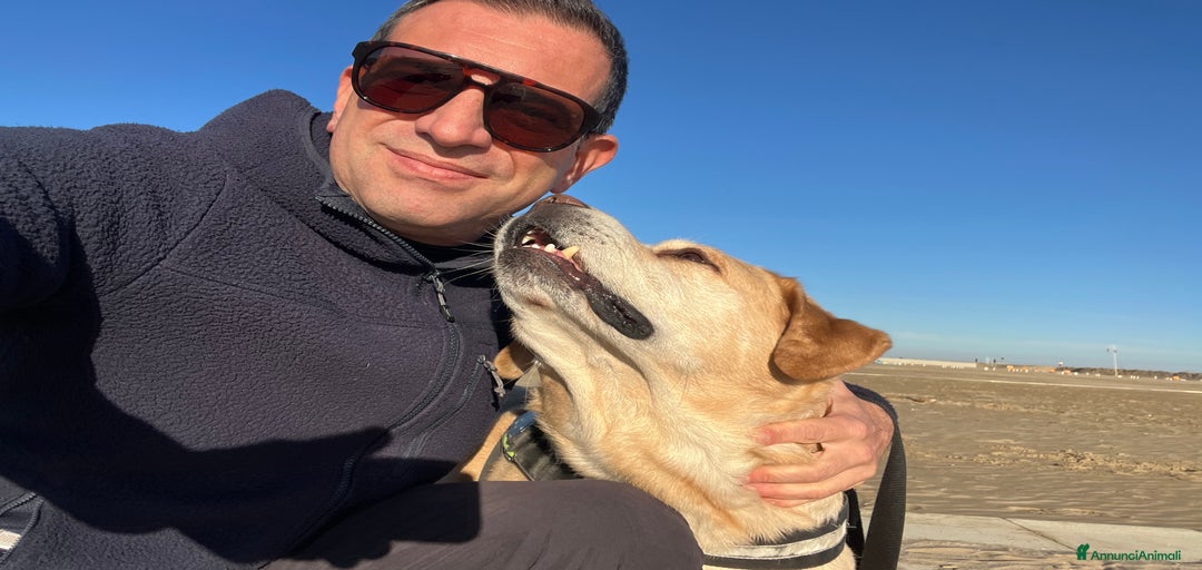 Immagine della galleria {{count}}