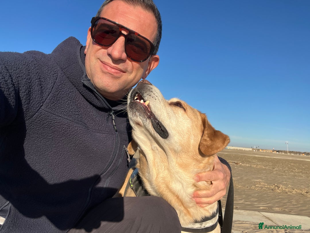 Immagine della galleria {{count}}