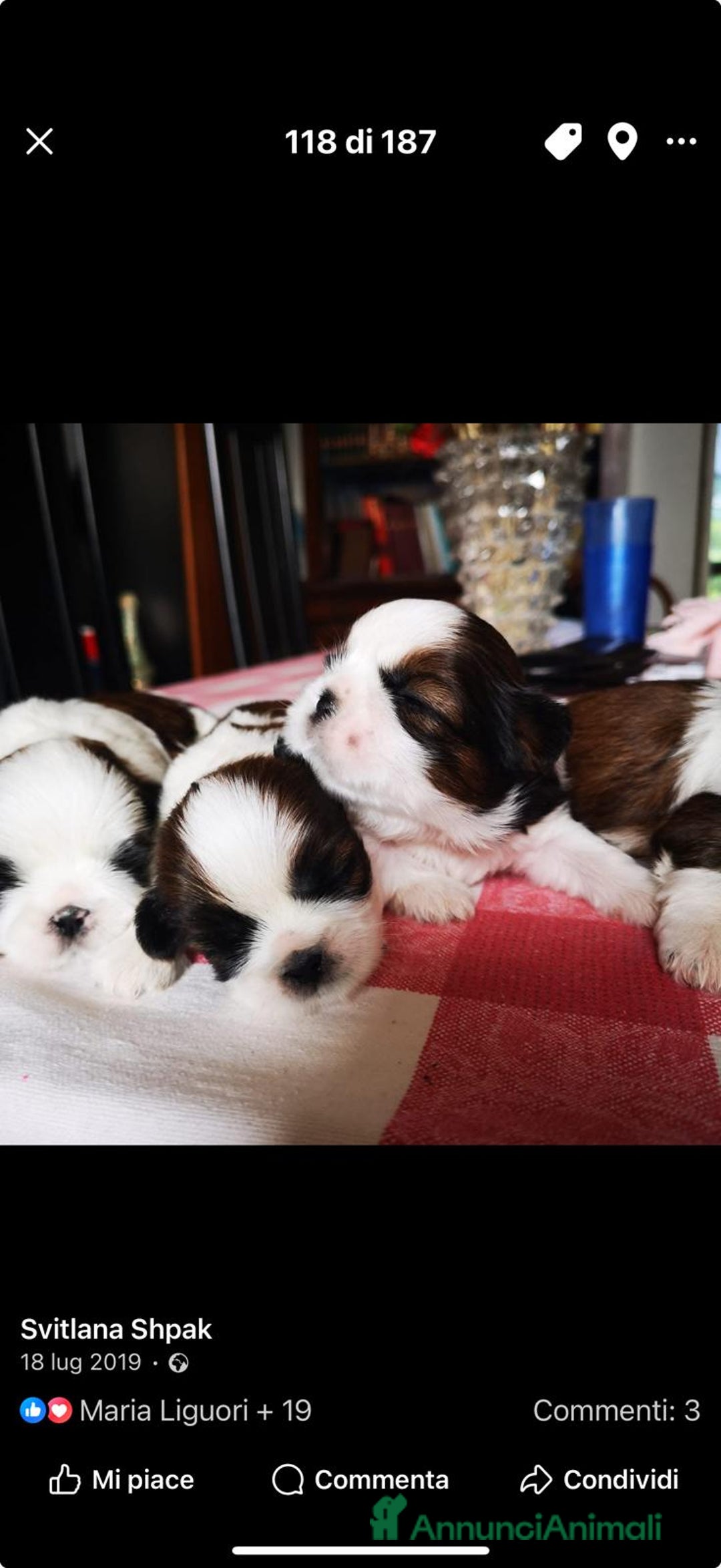 Immagine della galleria {{count}}