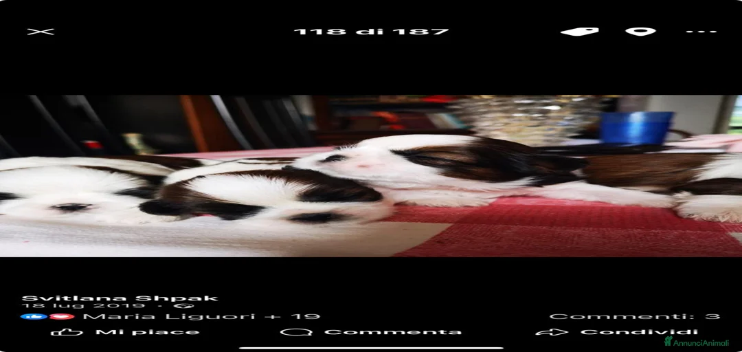 Immagine della galleria {{count}}