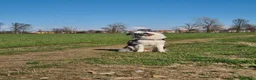 Border Collie cani per accoppiamento: Bellissimo Border con Pedigree per Accoppiamento a Provincia di Cremona - Annuncio 19
