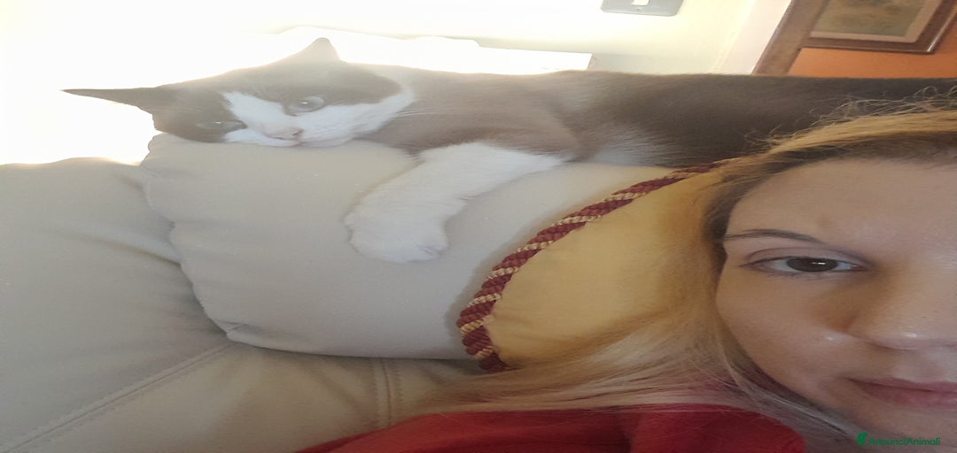 Immagine della galleria {{count}}