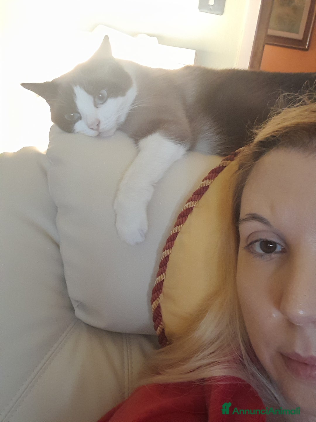 Immagine della galleria {{count}}