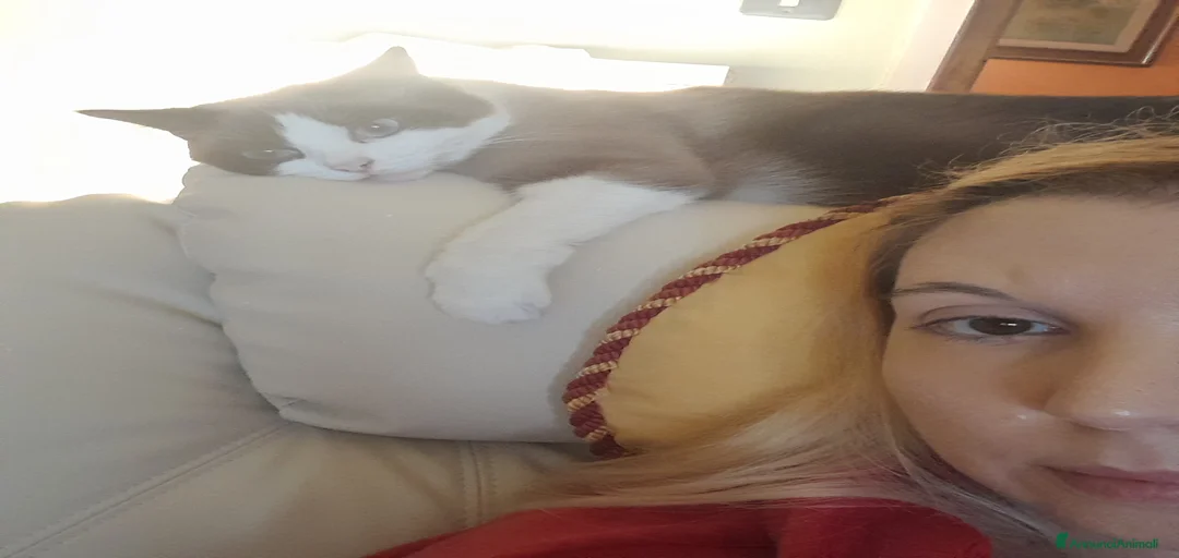 Immagine della galleria {{count}}