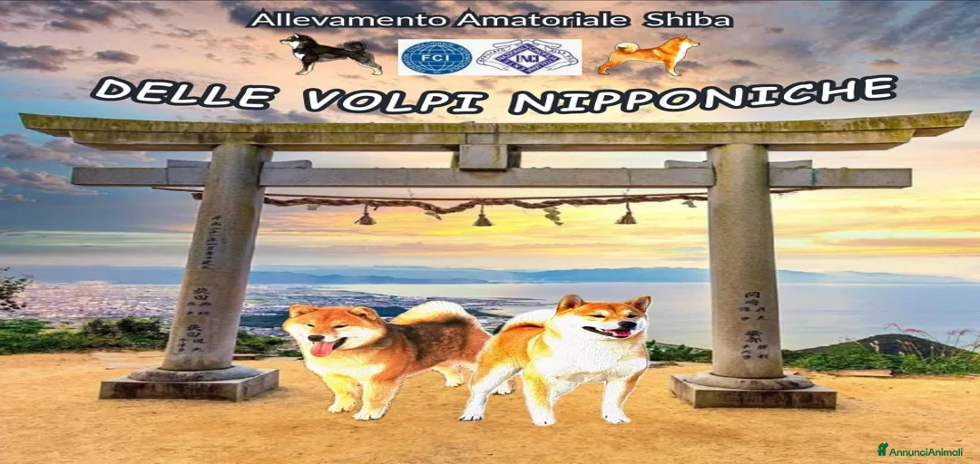 Immagine della galleria {{count}}